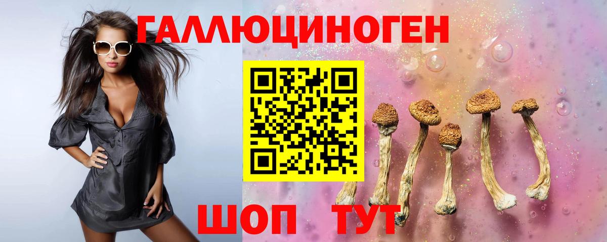 Псилоцибиновые грибы Magic Shrooms  Вход с VPN  Псилоцибиновые грибы Psilocybe  Заволжье 